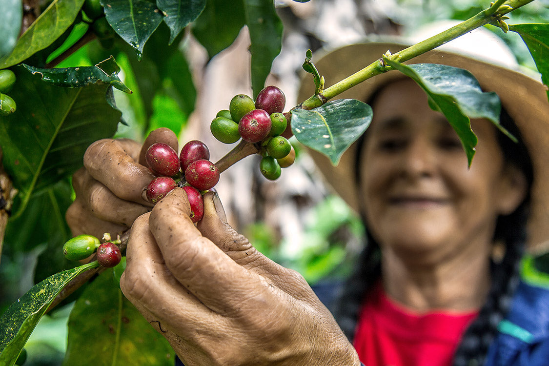 At Honest To Pete we ethically source our coffee beans for roasting in Vancouver
